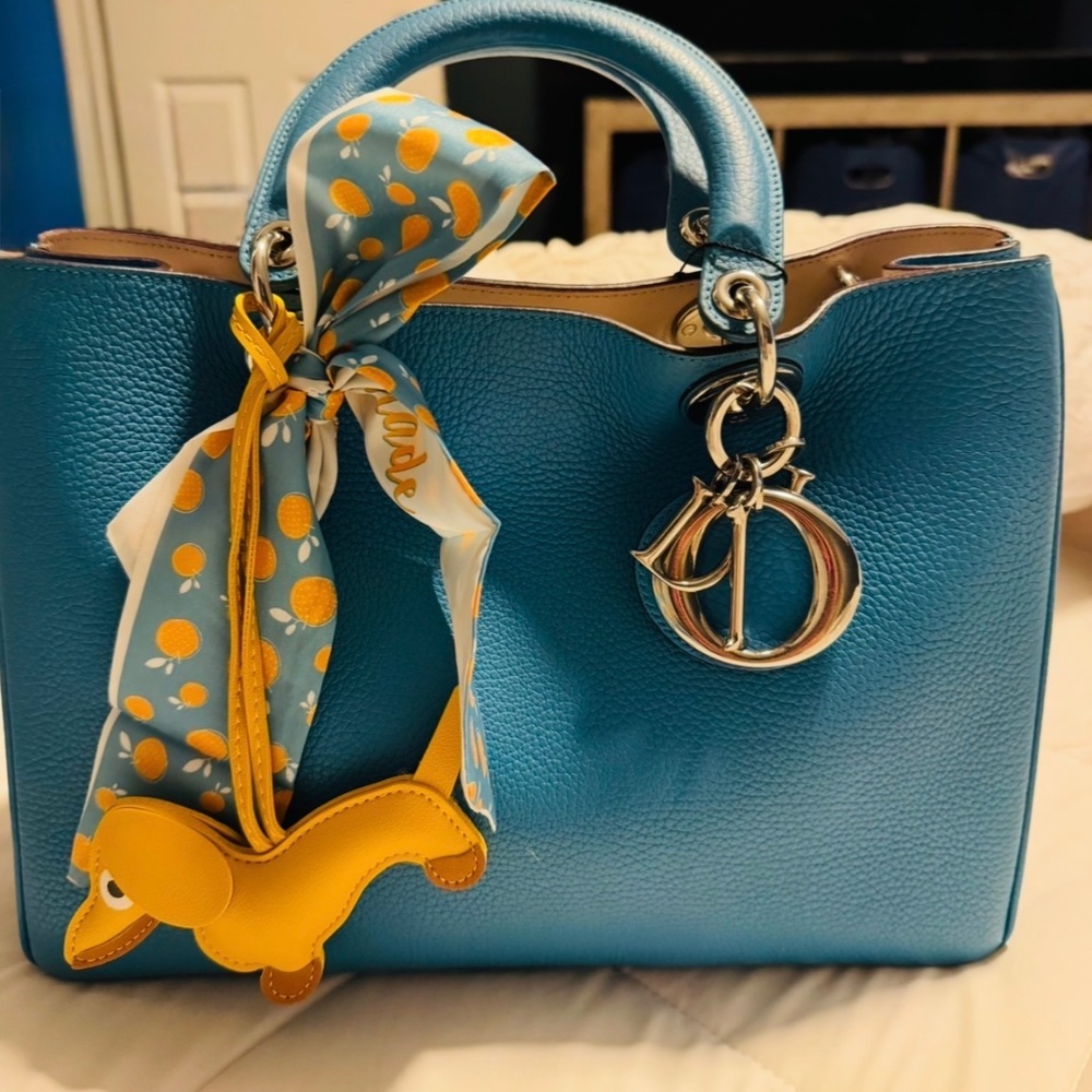 Dior purse